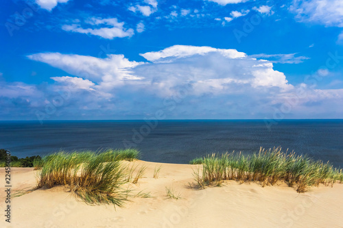 Grey dunes in the Curonian Spit  Lithuania.