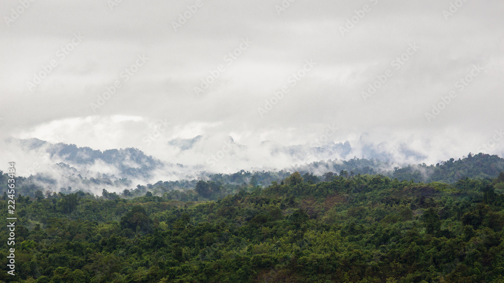 Landscape of rain forest during the raining season in Thailand.
