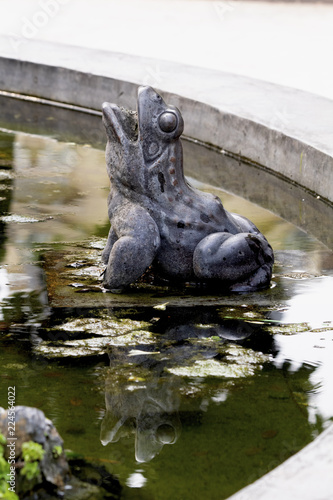 Frog statue in a fountain with reflections in water