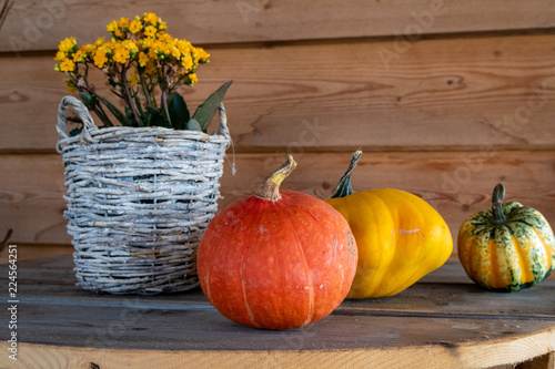 Tischdeko mit Kürbis photo