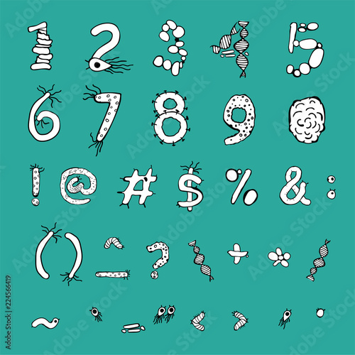 Bold Biology Font