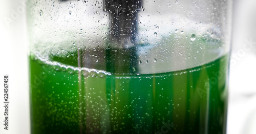 green liquid spirulina superfood production harvesting - food supplement vitamin protein and beta carotene source