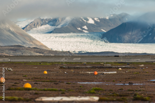 Plastic pollution on Arctic coast.