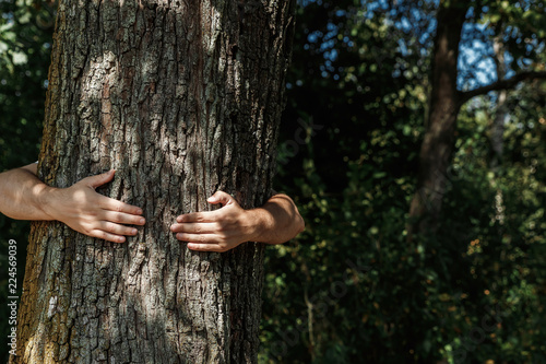 Fototapeta Naklejka Na Ścianę i Meble -  Human hands hug, wrap a tree. Contact man and nature, the concept of ecology. Productivity. Symbiosis