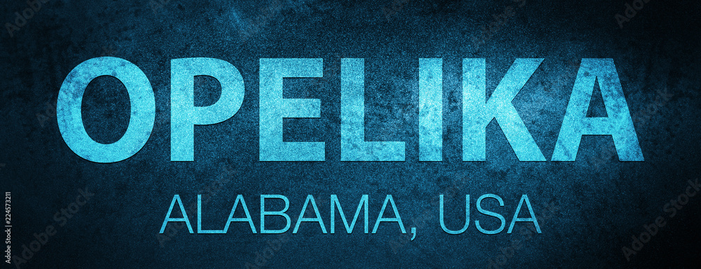 Opelika. Alabama. USA special blue banner background