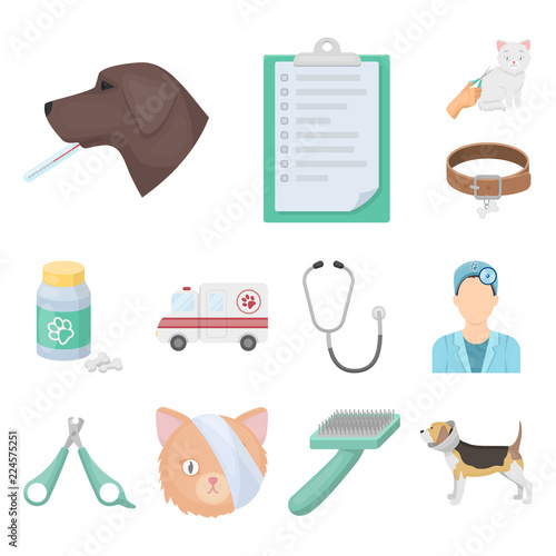 Veterinary clinic cartoon icons in set collection for design. Treatment of a pet vector symbol stock web illustration.