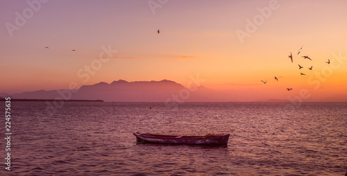 Pôr do sol com pássaros