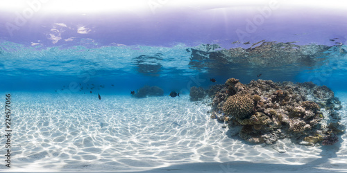 Clear reef in Australia © The Ocean Agency