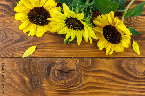 Fototapeta Naklejka Na Ścianę i Meble -  Decorative sunflowers on the wooden background