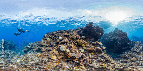 Fototapeta Naklejka Na Ścianę i Meble -  Divers over healthy coral in GBR