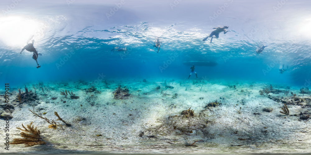 Obraz premium Tourists swimming in Turks and Caicos