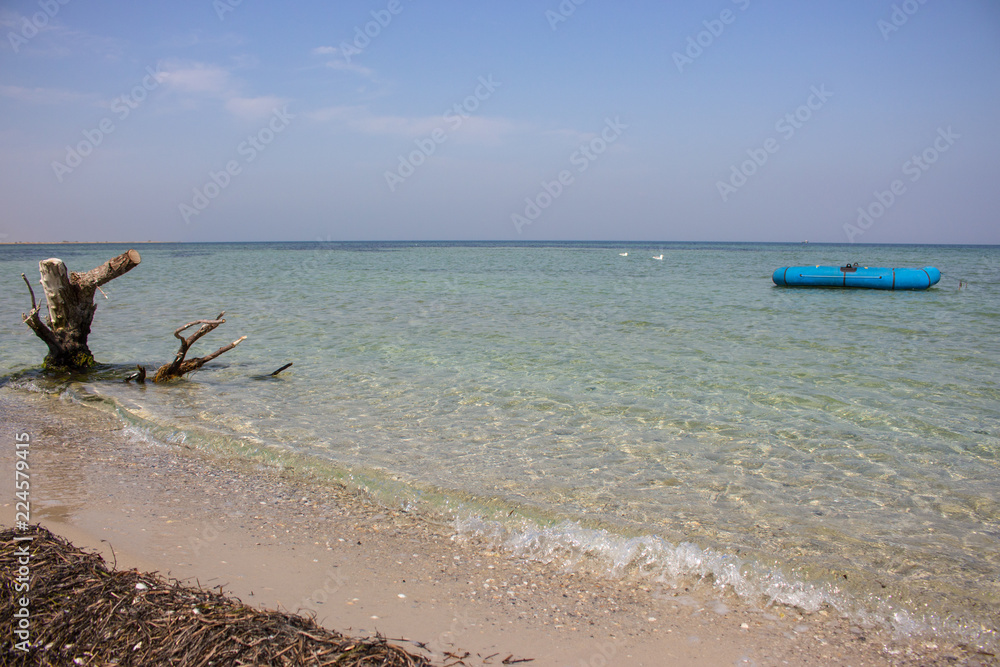Blue rubber boat, sitting seagulls and weathered snag in calm sea. Tropical vacation and paradise concept. Seascape background. Transportation and travel concept. 