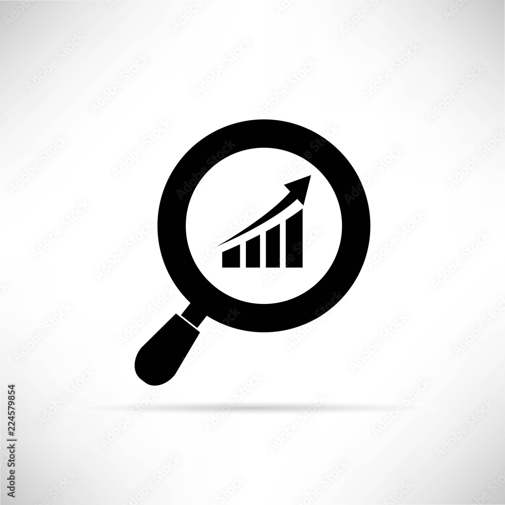 magnifier and bar graph icon