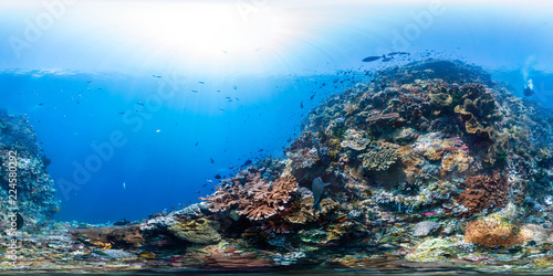 Diver on Raja Ampat reef