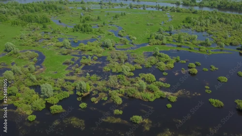 This is a video of Belarusian nature in the spring This is a video of Belarusian nature in the spring
