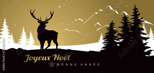 CARTE DE VOEUX AVEC RENNE