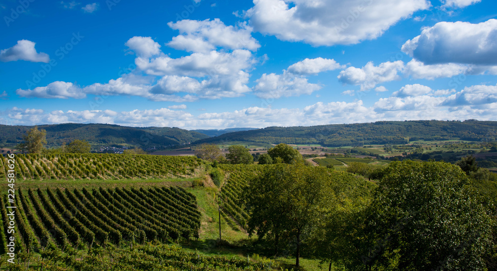 Naklejka premium Blick vom Heuberg in Ettenheim in der Ortenau