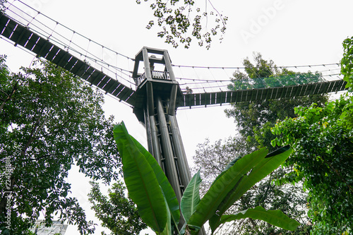 Canvas Print Bridge through forest reserve in the middle of City of Kuala Lumpur, Malaysia
