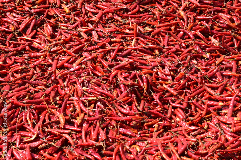 Naklejka premium red hot chili peppers