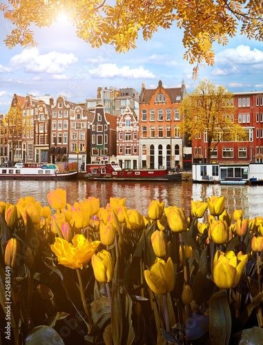 Obraz na płótnie Beautiful Magic Autumn Landscape in Amsterdam, Holland with tulips. amazing places. popular tourist atraction w salonie