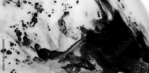 Abstract ink background. Marble style. Black paint stroke texture on white paper. Grunge mud art. Macro image of pen juice. Dark Smear. © Sytnik