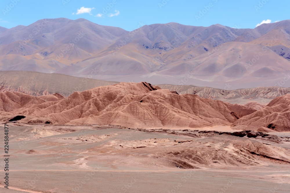Fototapeta premium El Mirador. Tolar Grande. Argentina