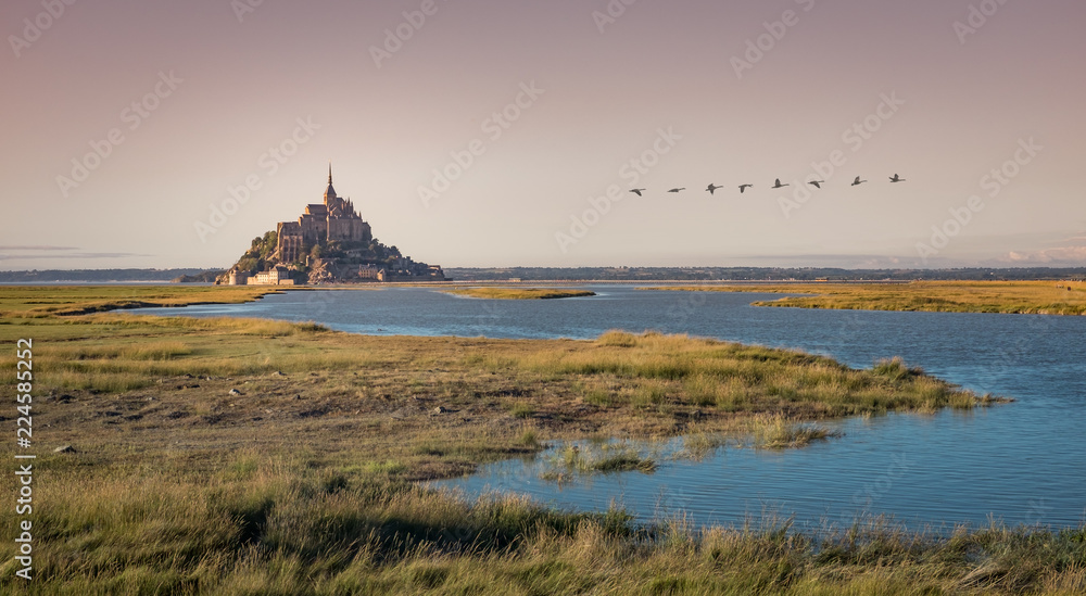 Mont Saint-Michel and surroundings in early morning sunlight with flock of geese in the distance