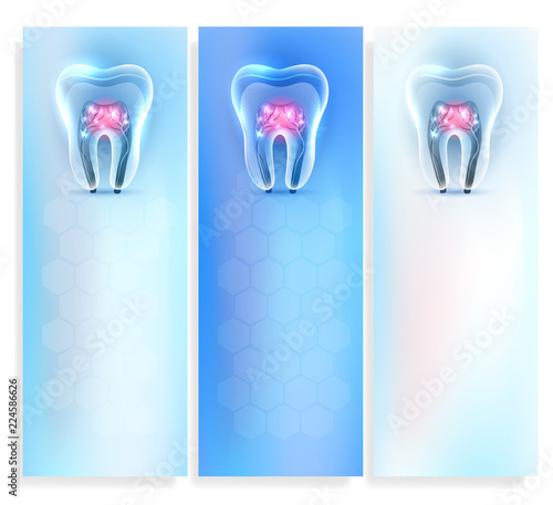 Beautiful clean artistic transparent tooth anatomy templates set on a delicate clean blue background
