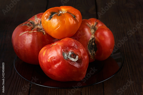 Spoiled  tomatoes on a dark wooden background.