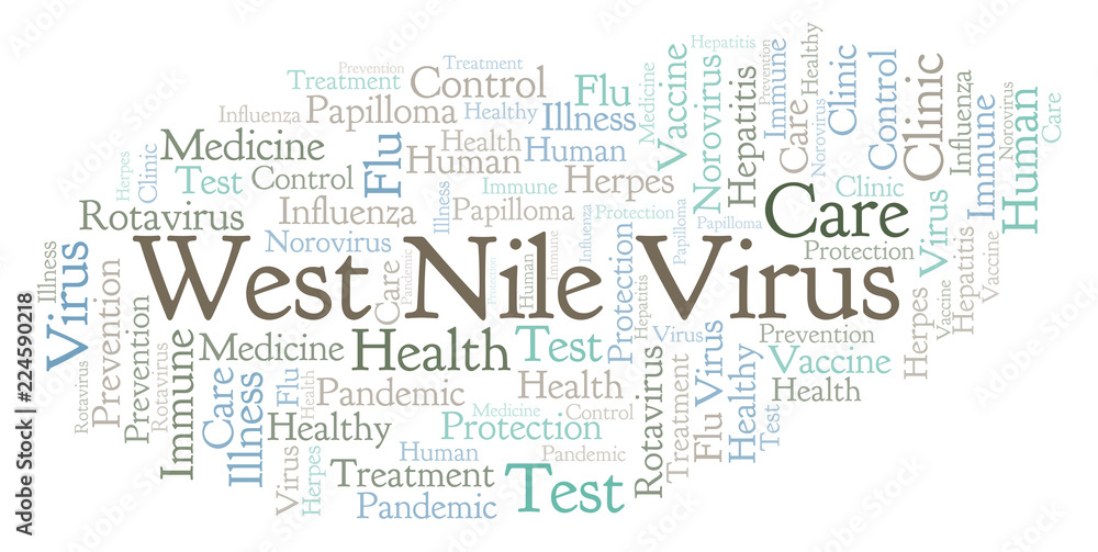 Obraz premium West Nile Virus word cloud, made with text only.