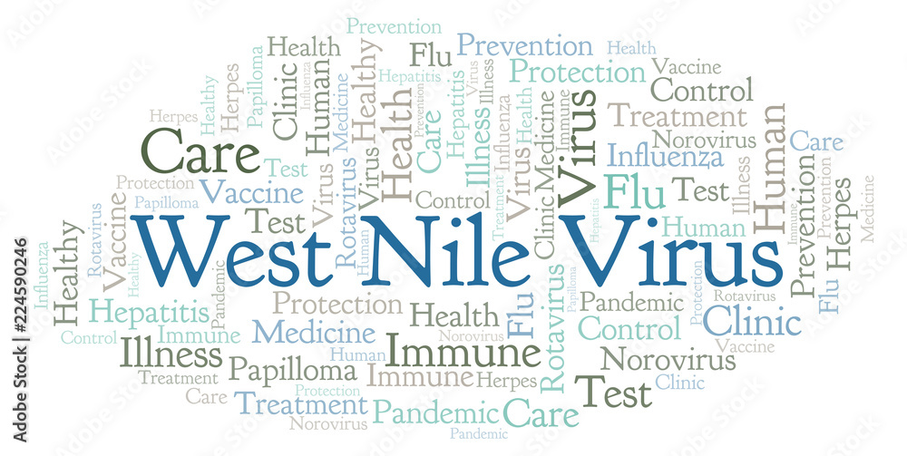 Obraz premium West Nile Virus word cloud, made with text only.