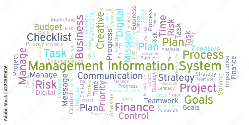 Fototapeta premium Management Information System word cloud, made with text only.