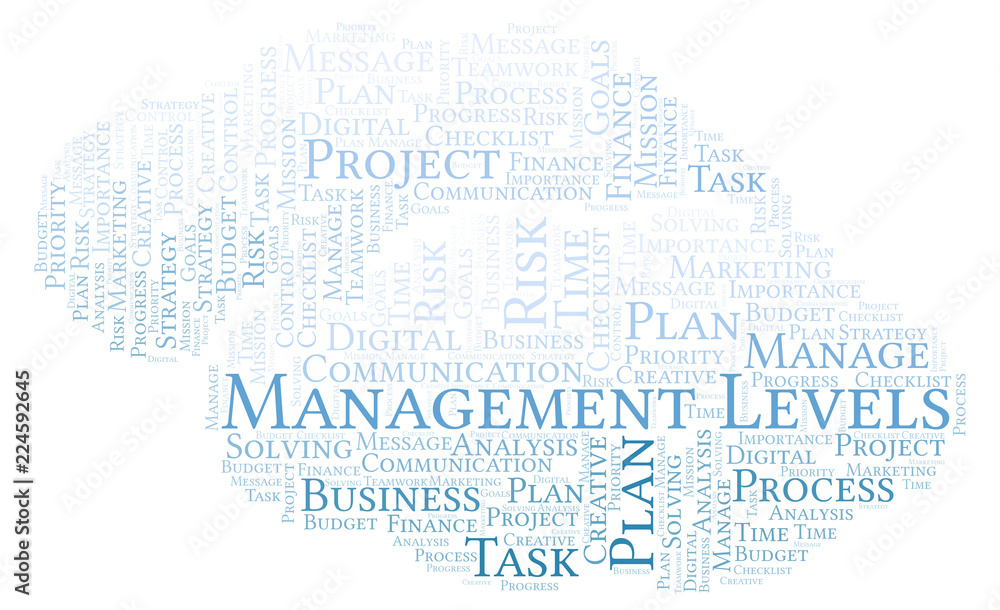 Fototapeta premium Management Levels word cloud, made with text only.