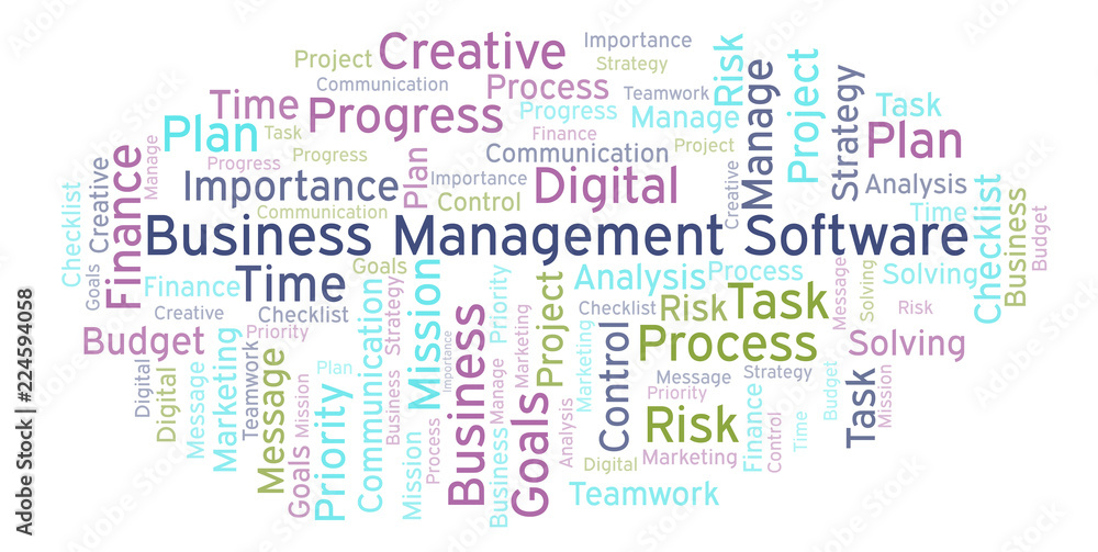 Fototapeta premium Business Management Software word cloud, made with text only.