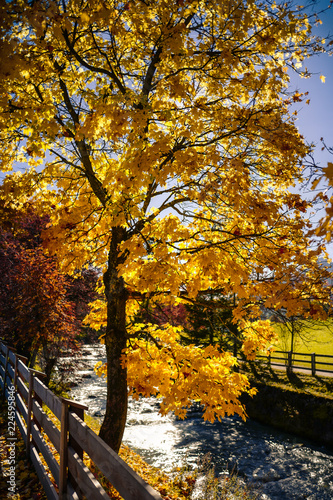 Alpine Autumn Impression