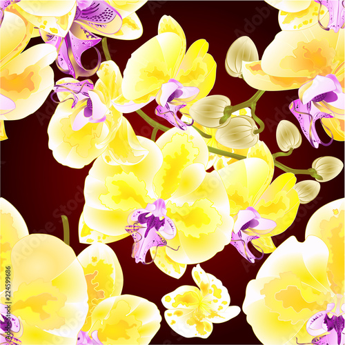 Seamless texture Orchid Phalaenopsis golden flowers and buds tropical plants  on a white background vintage vector botanical illustration for design editable hand draw