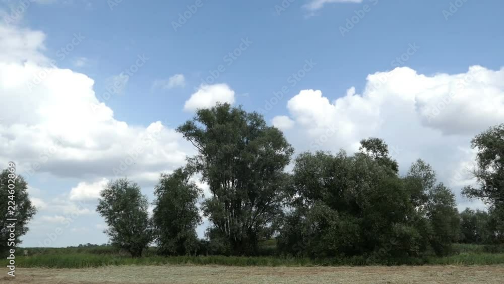 Meadow at Havel river in Havelland (Germany) Meadow at Havel river in Havelland (Germany)