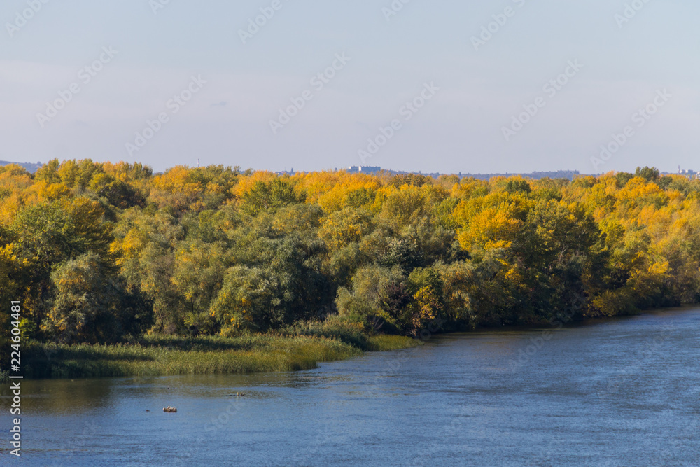 Colorful autumn trees on the riverfront. Colorful autumn trees on the riverfront.