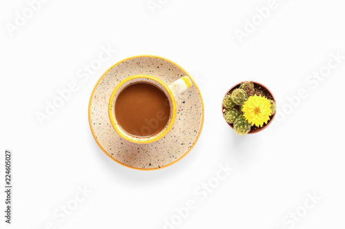 Small cactus plant and coffee cup on isolated white background. Bright soft morning illumination. Little home decor pot from top view. Flat lay for desctop workspace.