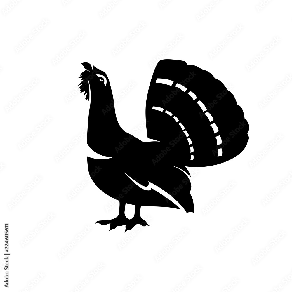 Obraz premium capercaillie vector silhouette