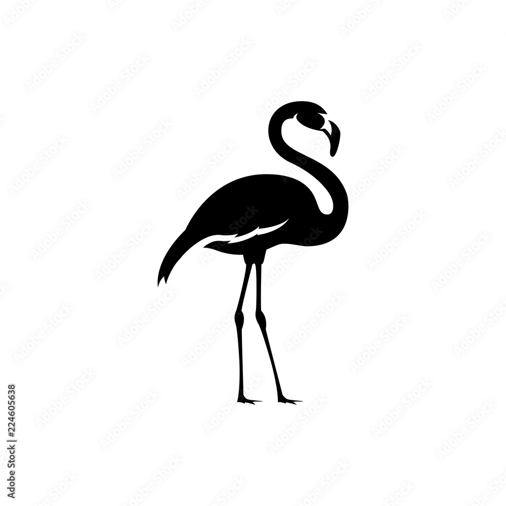 Obraz premium flamingo vector silhouette
