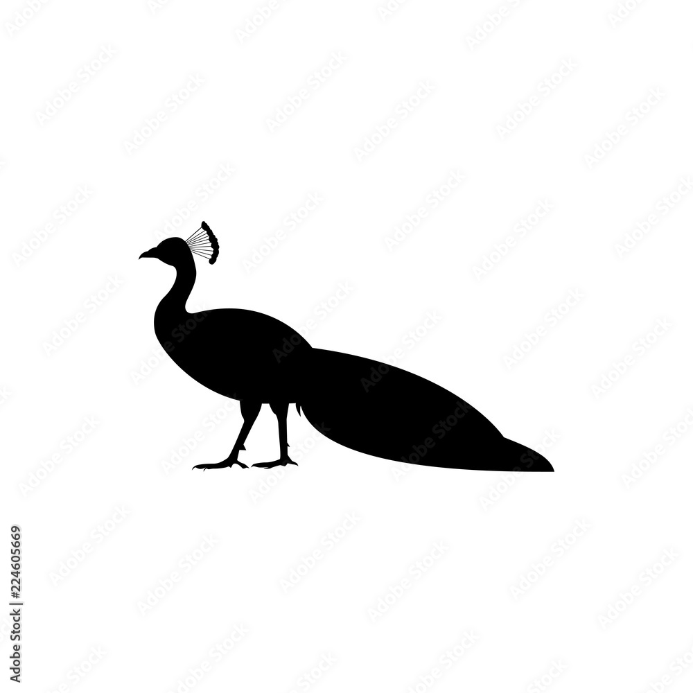 peacock vector silhouette peacock vector silhouette