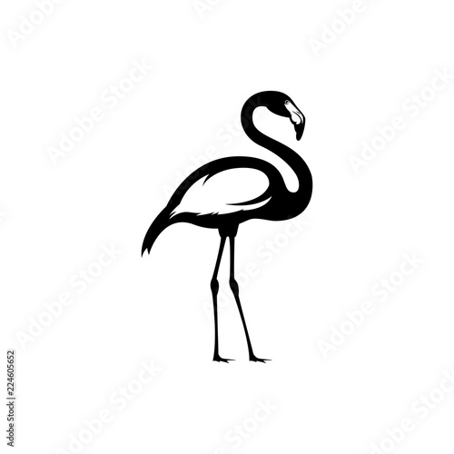 flamingo vector silhouette
