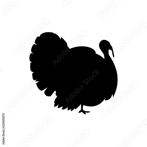 turkey bird vector silhouette