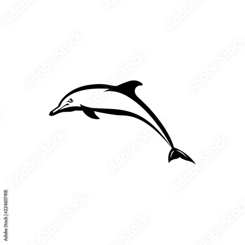 dolphin vector silhouette