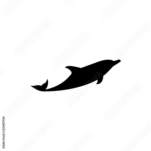 dolphin vector silhouette