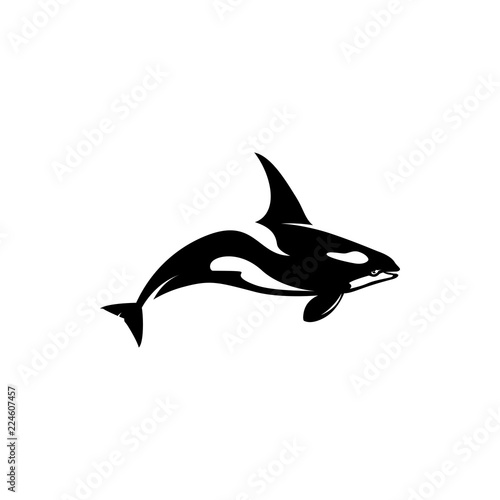 Killer Whale vector silhouette