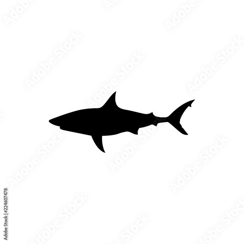 shark vector silhouette