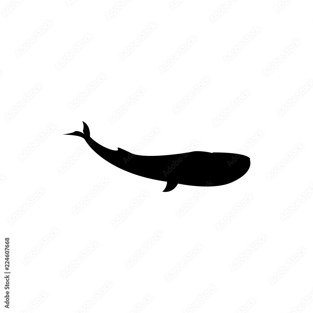 whale vector silhouette whale vector silhouette