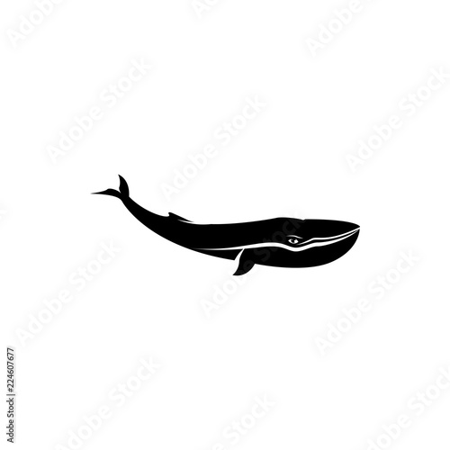 whale vector silhouette